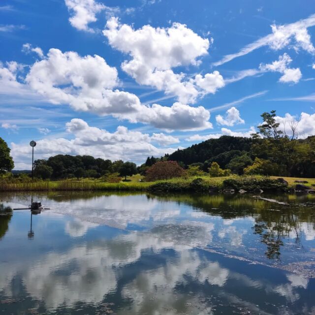 吉川カントリー倶楽部⛳️
新しいドライバーを引っ提げてのラウンドでしたが、なかなかの暴れん坊っぷりを披露してくれ、前半はめちゃめちゃ苦労しました💦
これは調教が必要です(笑)

後半はエースに戻し、そこそこのゴルフになったので、まぁ良しとしましょう😊

ここ吉川カントリー倶楽部はシャトレーゼの運営で、アイス🍦は自由に食べる事が出来るし、食後にはケーキ🍰を自由に選べるという、スイーツ好きには悪魔的な魅力のゴルフ場です😆

・・・、ん？🤔ダイエット？🤔何それ？🤔

#第一ゴルフ #第一ゴルフ姫路本店 
#ゴルフ #ゴルフ好きと繋がりたい
#関西ゴルファー #インスタゴルフ 
#ゴルフ男子 #ゴルフ女子 
#三浦技研 #エポン #PXG 
#カスタムクラブ #地クラブ #地クラブマニア 
#ゴルフスイング #ゴルフコンペ　
#吉川カントリー倶楽部 #名門コース  #高速グリーン
#リカバリーショット #逆バウンスバック #ボギー製造機 #ショートホールイップス #ロングホールアレルギー #バーディパット #ボギーニモマケズ #３パットニモマケズ 
#シャトレーゼ #スイーツ男子
#ダイエットは明日から