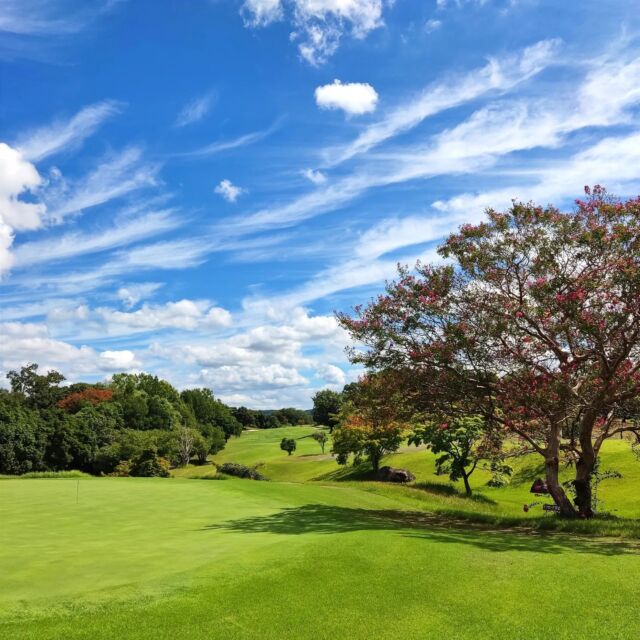 吉川カントリー倶楽部 part Ⅱ⛳️

意気揚々と持って行った新兵器が、どうやらカメラ嫌いだった様で、当たらない😅当たらない🥲

なのでドライバーの動画は少なめですが、今回は新しいアプリを試したくて、いつもよりたくさん動画を撮っちゃいました😅
有料アプリなのでたくさん使わないと(笑)

という事で、昨日に引き続きラウンド動画です📹️

調子にノッて、動画を撮りすぎました・・・。簡単なんですけど編集が大変です・・・。

・・・・・、
いつ終わんねん😭😭😭

#第一ゴルフ #第一ゴルフ姫路本店 
#ゴルフ #ゴルフ好きと繋がりたい
#関西ゴルファー #インスタゴルフ 
#ゴルフ男子 #ゴルフ女子 
#三浦技研 #エポン #PXG 
#カスタムクラブ #地クラブ #地クラブマニア 
#ゴルフスイング #ゴルフコンペ　
#吉川カントリー倶楽部 #名門コース  #高速グリーン
#逆バウンスバック #ボギー製造機 #ショートホールイップス #ロングホールアレルギー #ボギーニモマケズ #３パットニモマケズ #スイーツニマケル #シャトレーゼ #スイーツ男子
#ShaShot #ゴルフは楽しい