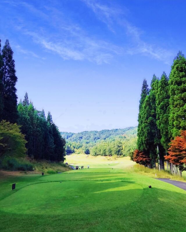 信楽カントリー倶楽部 杉山コース⛳️
初めて来ました信楽カントリー倶楽部🚙💨同じ信和グループのゴールデンバレーやチェリーヒルズは何度も行った事あるんですけどね（近いし）

今回は、ジョーンズティーからプレーしました🏌️‍♀️🏌️‍♂️🏌️7100ydはやっぱりセカンドで持つクラブが変わりますね〜😅ショートも長い💦

コースはメンテナンスもしっかりされていて、グリーンも速い💨
手強いコースでしたが、個人的にはかなり好きなゴルフ場です👍たぬきがいっぱいいました😆

また行きたいな〜😊

#第一ゴルフ #第一ゴルフ姫路本店 #姫路
#ゴルフ #ゴルフ好きと繋がりたい
#ゴルフ男子 #ゴルフ女子
#三浦技研 #MIURA
#エポン #EPON 
#PXG 
#インスタゴルフ #カスタムクラブ  #関西ゴルファー 
#ゴルフスイング #スイング動画
#地クラブ好き #地クラブマニア
#最新モデル #クラブフィッティング
#名門コース #高速グリーン
 #信楽カントリー倶楽部 #信楽カントリー倶楽部杉山コース #信楽カントリー倶楽部田代コース
#グリーンは触るだけ
#ショートホールイップス 
#ロングホールアレルギー
#たぬき