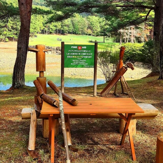 パインレークゴルフクラブ 最終回⛳️
いやぁ〜、分かっていましたがやっぱり難しいコースでしたねパインレーク😆

誰ですの？フルバック申請したの（笑）

パターで池入れるとか、自分でも信じられへん事もやっちゃいましたね🙅🙅🙅
何故かここは行く度にスコア悪くなってる様な気がしますね😅

これからはコンペも続くので、首も早く治さないとです😌
ロキソニンも効かなくなってきました（笑）

#第一ゴルフ #第一ゴルフ姫路本店 #姫路
#ゴルフ #ゴルフ好きと繋がりたい
#ゴルフ男子 #ゴルフ女子
#三浦技研 #MIURA
#エポン #EPON 
#PXG 
#インスタゴルフ #カスタムクラブ  #関西ゴルファー 
#ゴルフスイング #スイング動画
#地クラブ好き #地クラブマニア
#チーピン祭り #
#パインレークゴルフクラブ 
#難関コース #高速グリーン 
#ポテチグリーン #グリーンは触るだけ
#ショートホールイップス 
#ロングホールアレルギー
#ギックリ腰の次はギッ首
#ロキソニン #ボルタレン